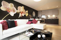 Mica Point takes on new interior flair