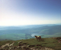 Rooms with a view of the Peak District