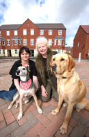 Top dogs give their views on new homes