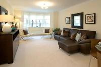 Living room at Orchard Brae