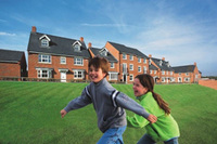 A taste of summer at Hornbeams