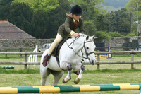 Barratt supports island equestrian talent