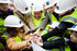 Pupils get behind-the-scenes look at Churchdown
