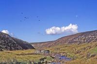 £4.5m sale of Bowes Moor sporting rights