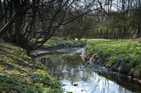 Homebuyers enjoy the great outdoors at Redworth Grange
