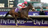 Emirates flies in for US’ richest race meeting 