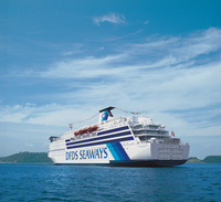 Cruise your way through a stress free Christmas