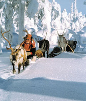 Families refuse to forgo Santa