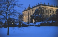 Christmas discovery and New Year recovery