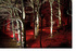 Northumberland Lights announces winter festival 