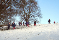 Step back in time for a Victorian Christmas
