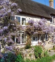 £50 off holiday homes Yule love this Christmas