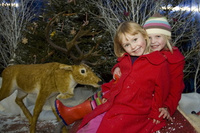 Enjoy a magical day out with Santa down at the farm