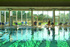 Sparkling Christmas getaways with Keycamp