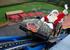 Santa on The Cobra at Paultons Park 2006