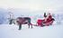 Last call for holidays to see Santa in Lapland