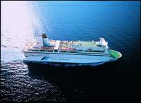 Cruise your way into New Year