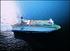 Cruise your way into New Year 