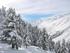 Ski Club