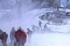 Ski Freshtracks 