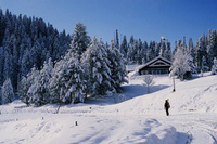 Ski India programme is set to take you higher