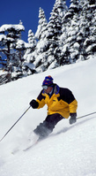 Suits to skis in the Big Apple