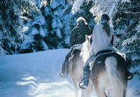 Ride and ski in a winter wonderland