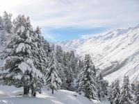 Heavy snowfalls return to the Alps