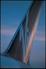 Virgin Tail Fin