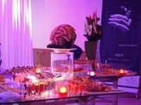 Sol Melia brings the warmth of the Caribbean to Europe