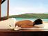 Qualia - The Great Barrier Reef