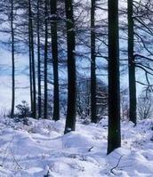 No room at the inn this Christmas?