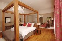 Tigerlily sees occupancy rates soar