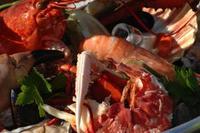 Specialist festival celebrates seafood