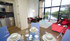 Experience autumn gold at Ardanaiseig 
