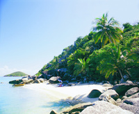 Bedarra Island achieves international acclaim