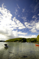 Budock Vean Hotel secures two more eco awards