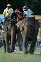 Anantara Resorts trumpet Elephant polo tournament