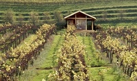 The luxury of a lodge at Three Choirs Vineyard