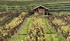 The luxury of a lodge at Three Choirs Vineyard  