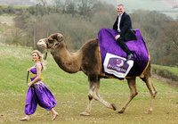 A slice of the desert comes to the UK