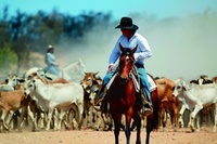 Calling all jackaroos and jillaroos