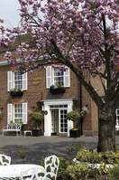 Its ladies night in Marlow