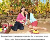 Sonoma Wine Country welcomes gay marriage and honeymoons