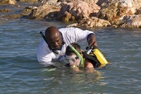 Jamaican resort offers teenagers a free stay