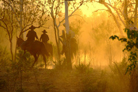 Home Valley Station – An outback adventure