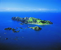 Cavalli Island Retreat & Spa invites fresh footprints