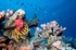 Maldives resort debuts “Underwater Nature Trail”