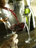 Hilton’s Paris hotel uncorks perfect package for wine lovers  