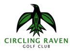Proactive and inspired - Circling Raven continues to impress